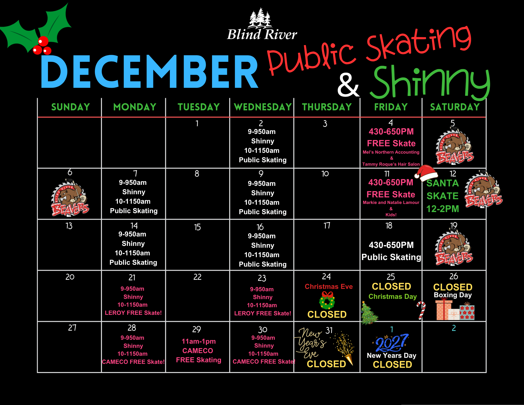 December Public Skating & Shinny Calendar