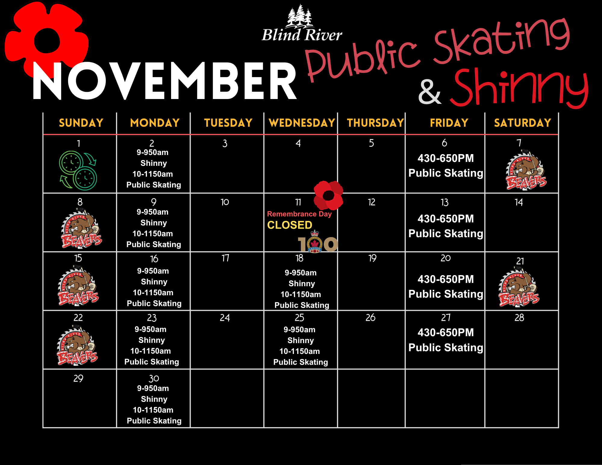 November Public Skating & Shinny Calendar 2026