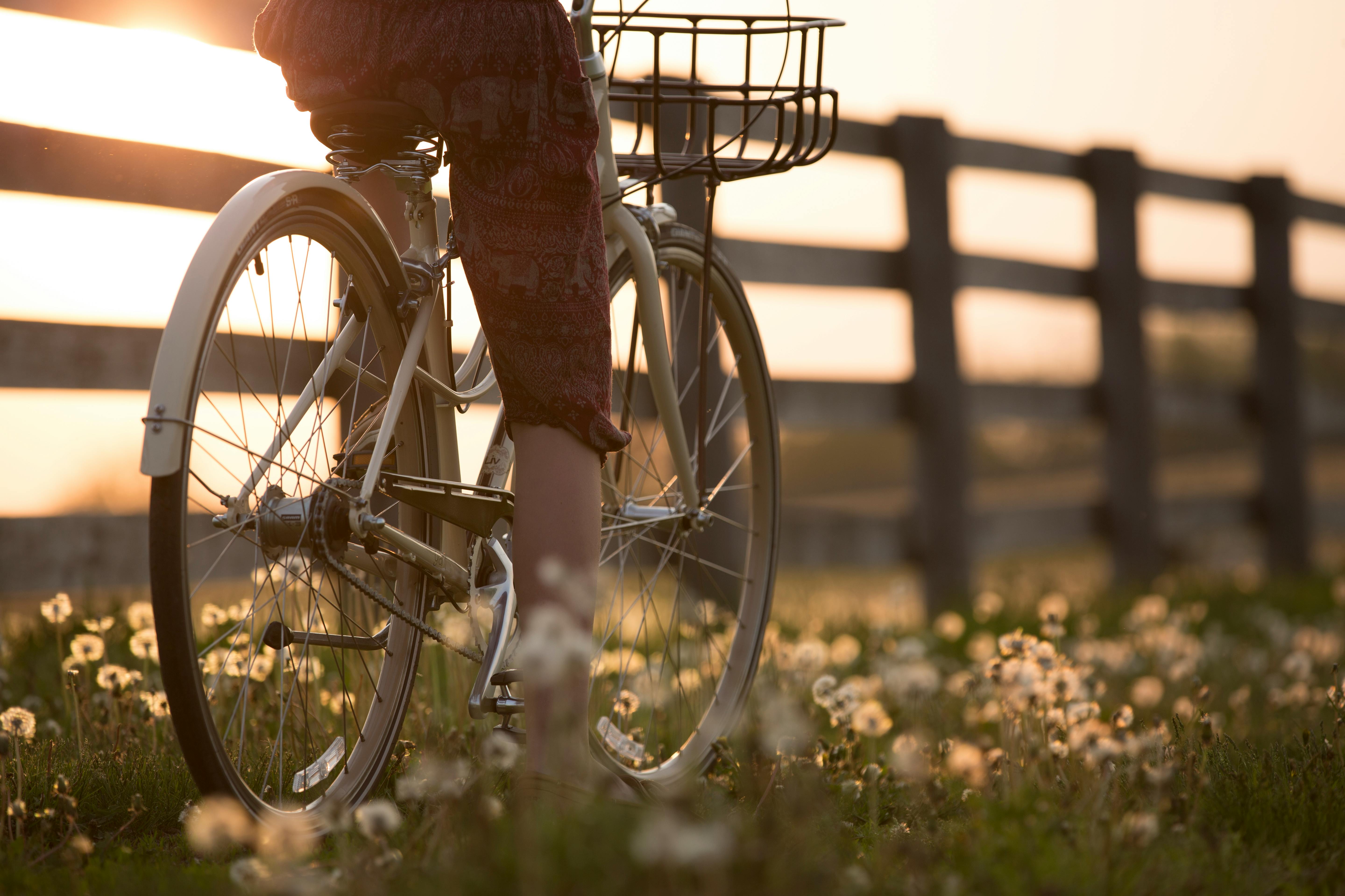 Person riding a bike at sunset