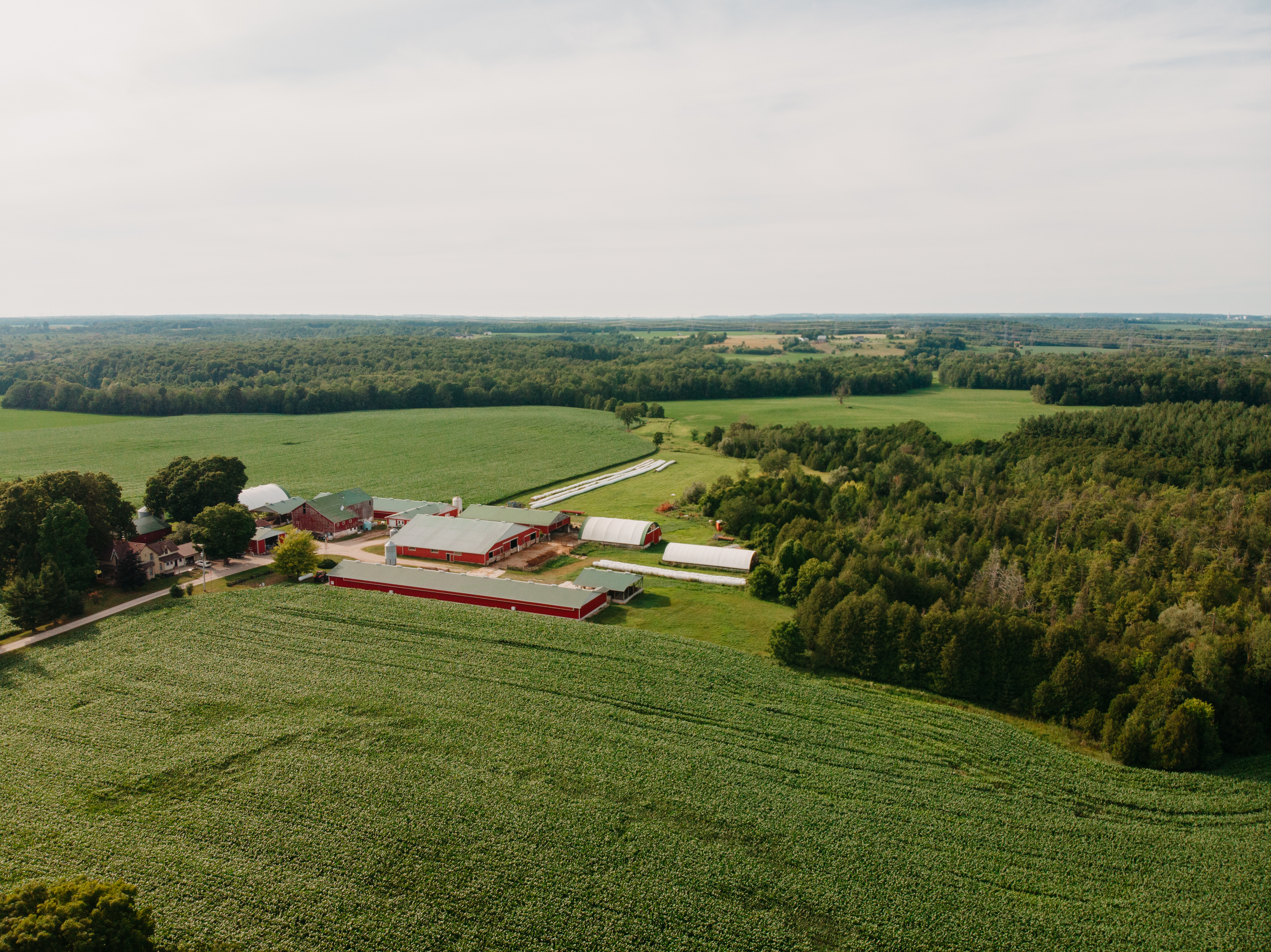 Farm