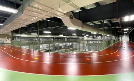 walking track