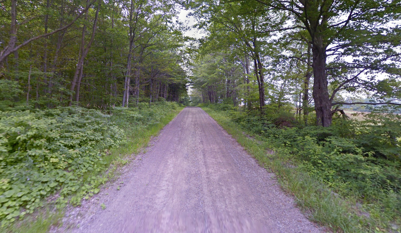 A gravel road lined with trees
