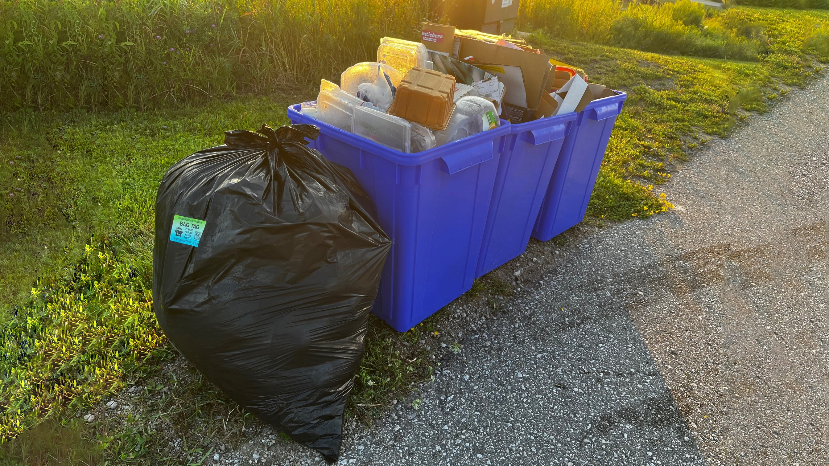 Garbage and recycling bins.