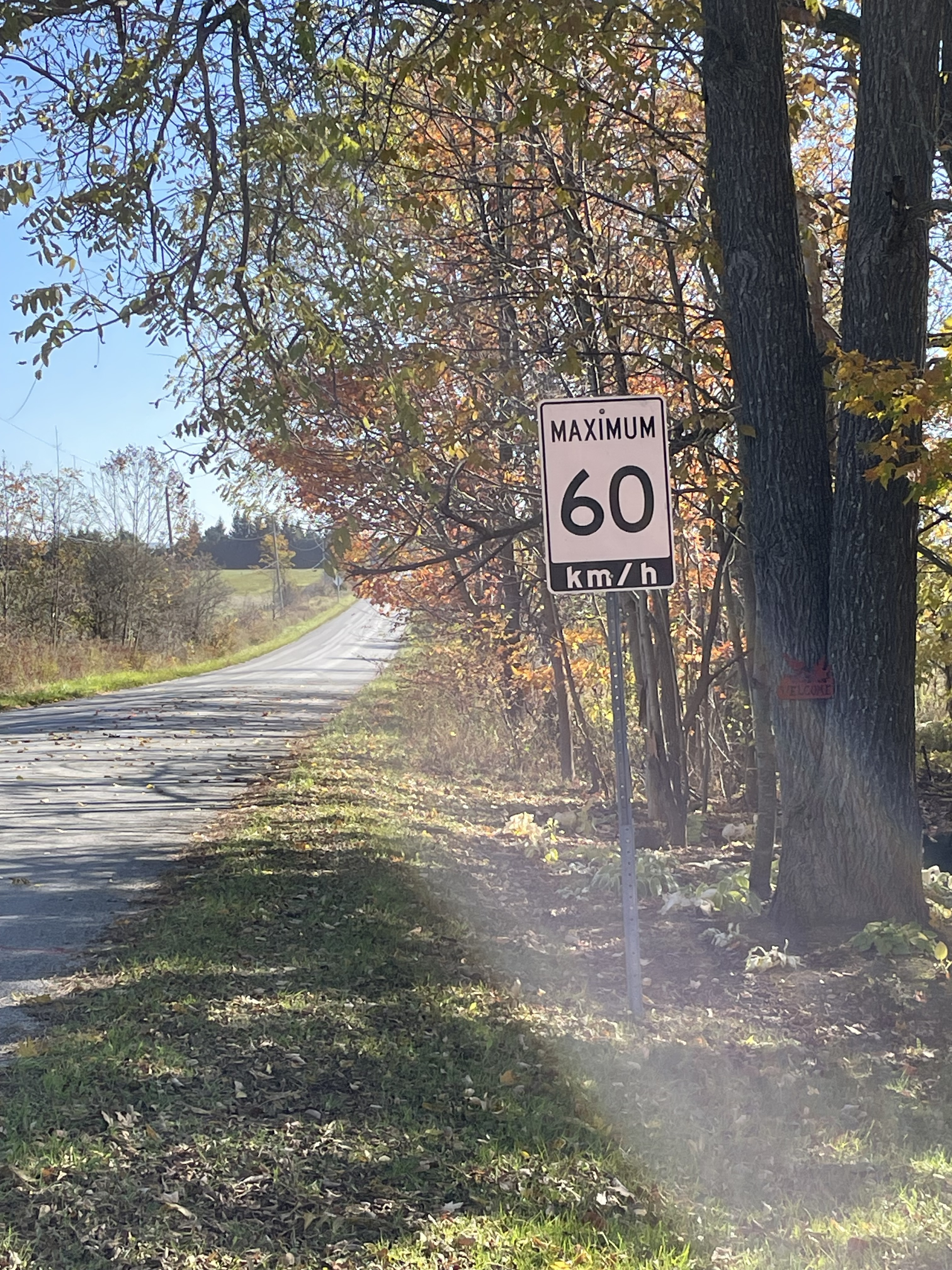 60 km/h speed sign