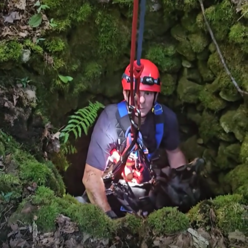 A firefighter lifting a dog out of a well