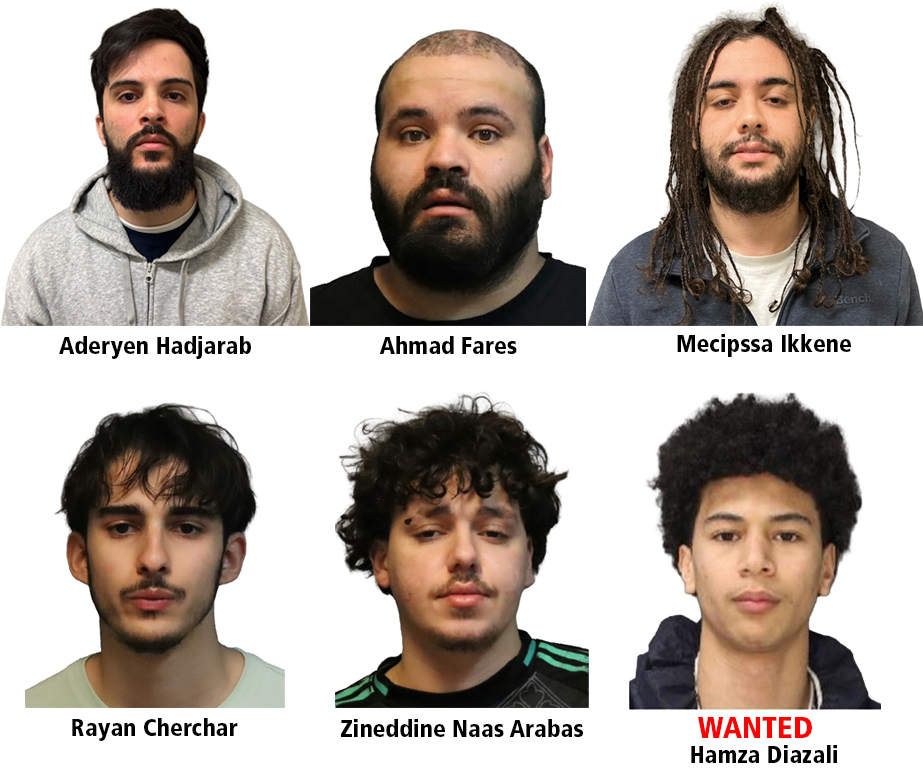 Project Steel Arrests
