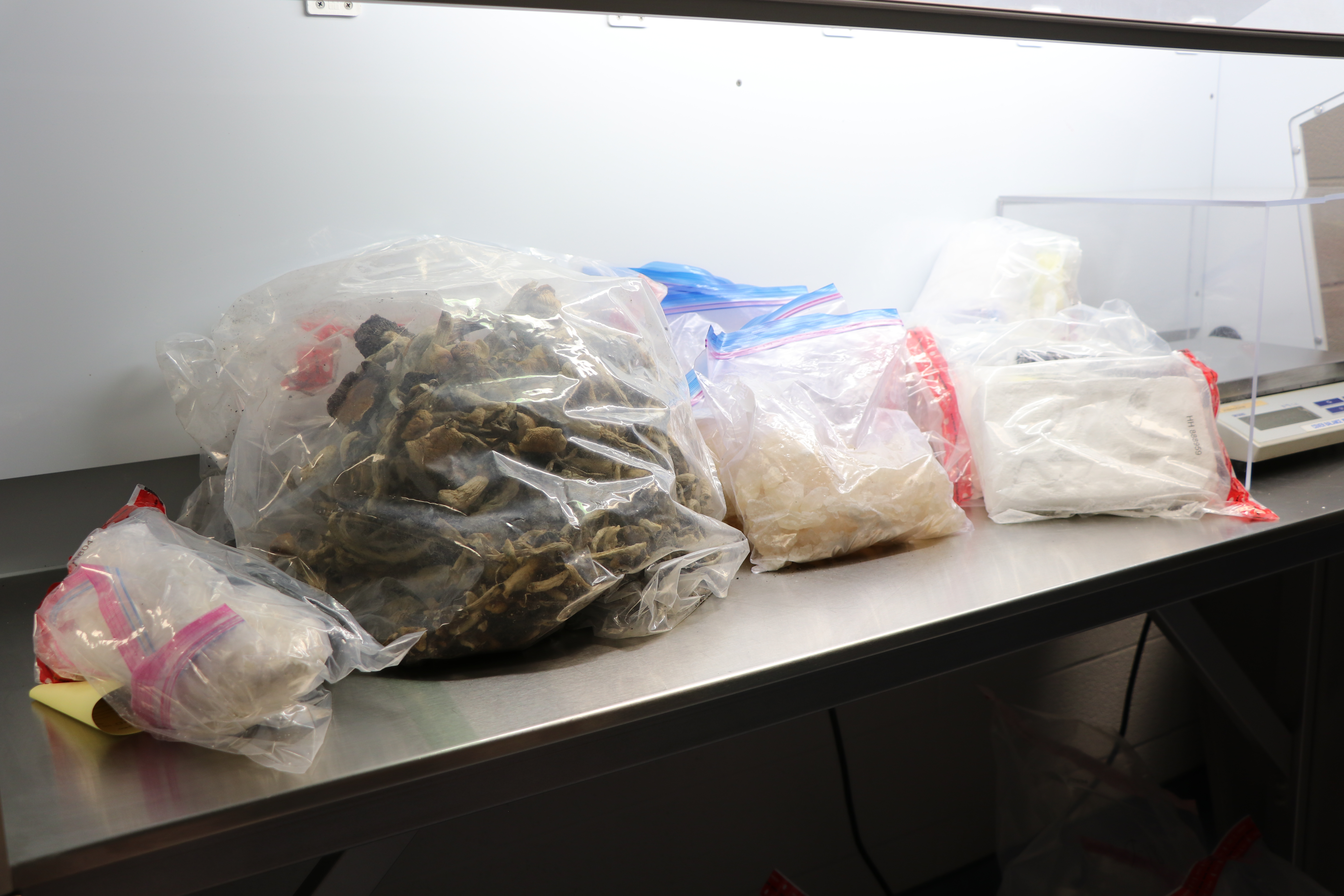 Seized bags of fentanyl and other narcotics.