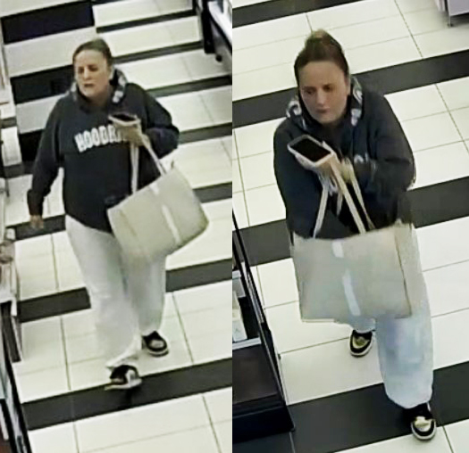 Photo of female suspect