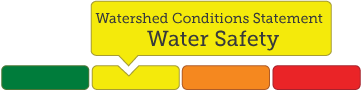 Watershed Conditions Statement Water Safety Icon
