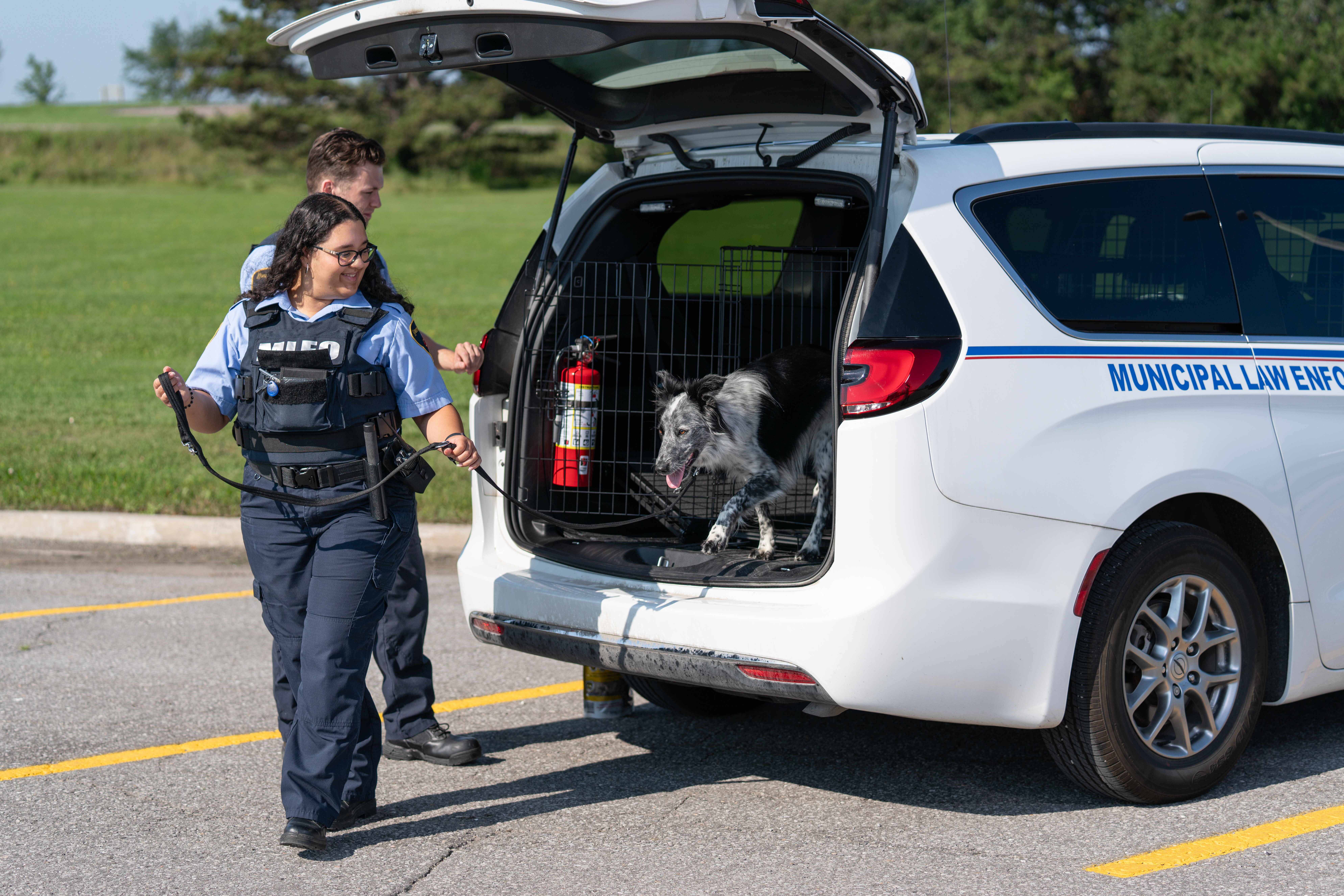 By-law officer leading a dog out of a car