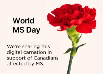 Photo of a red carnation, with text that reads, "World MS Day" "We're sharing this digital carnation in support of Canadians affected by MS."