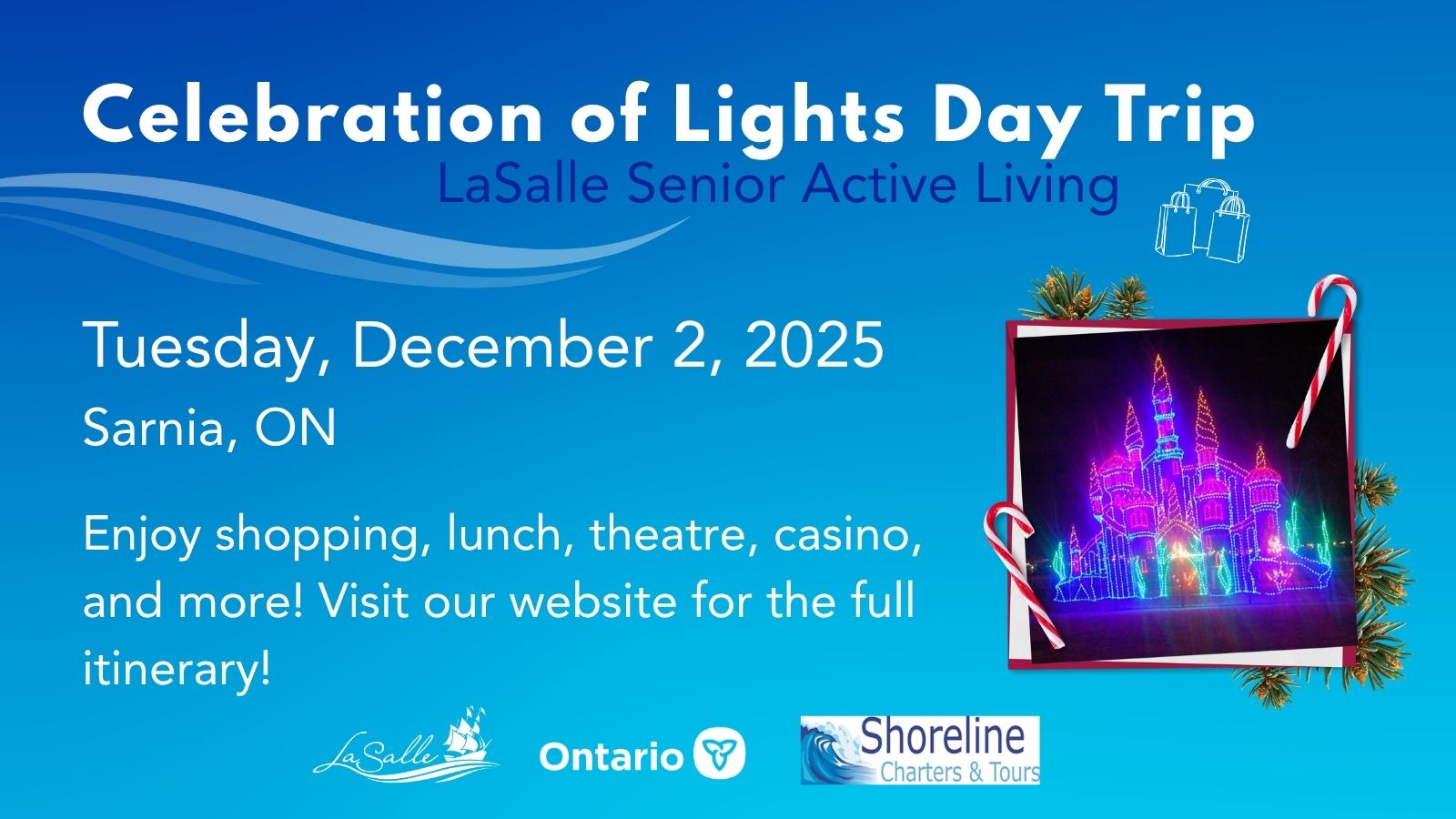 lights display