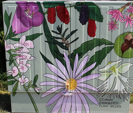 Bell Box Mural - Ojibway Endangered Plant Species