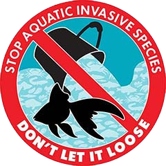 Don't Let it Loose logo