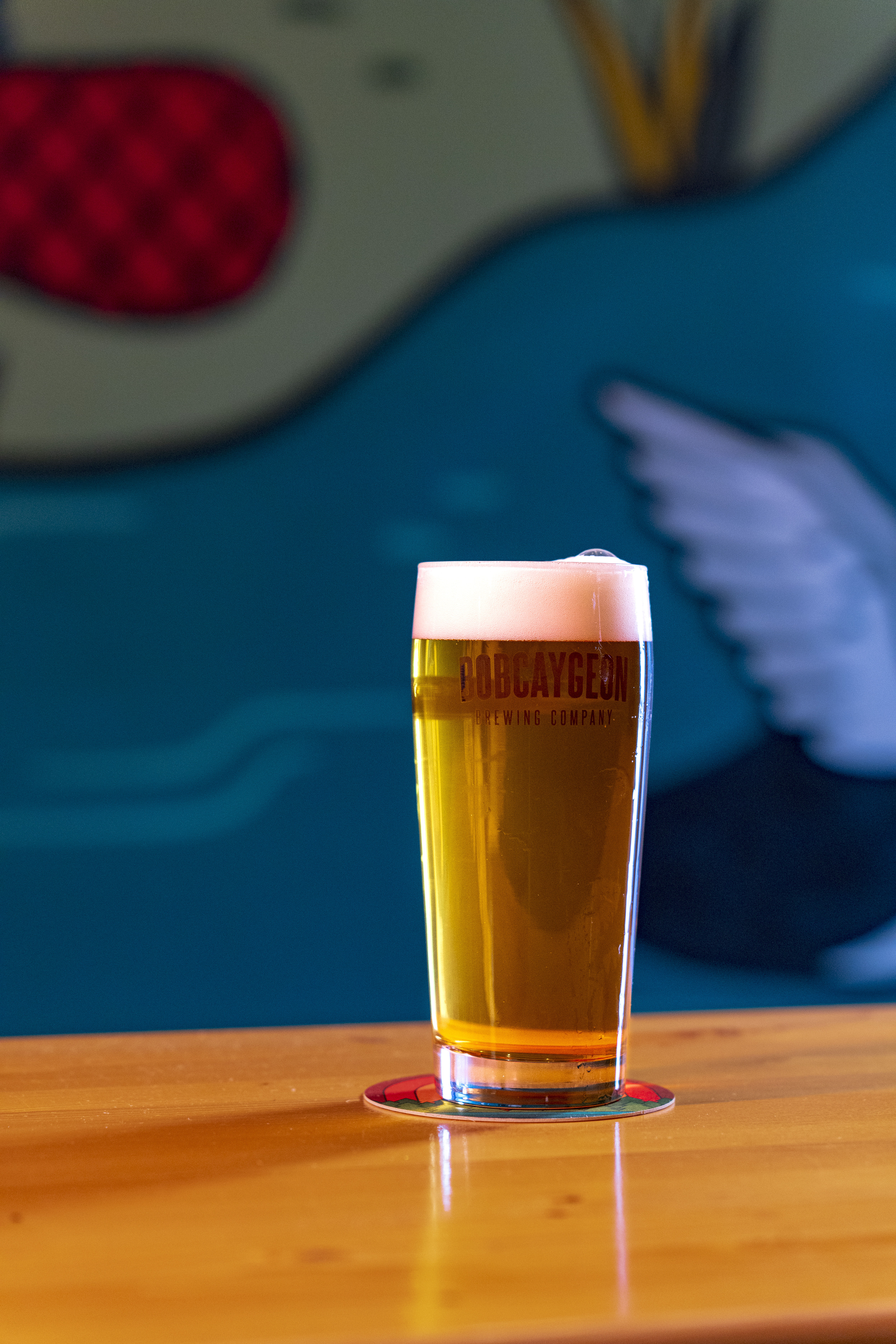 Close up of Pint Glass of Beer at Bobcaygeon Brewing Company  sitting on a wooden table witha  blue background.