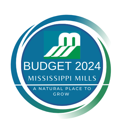 Green, blue and white logo with text 'Budget 2024'
