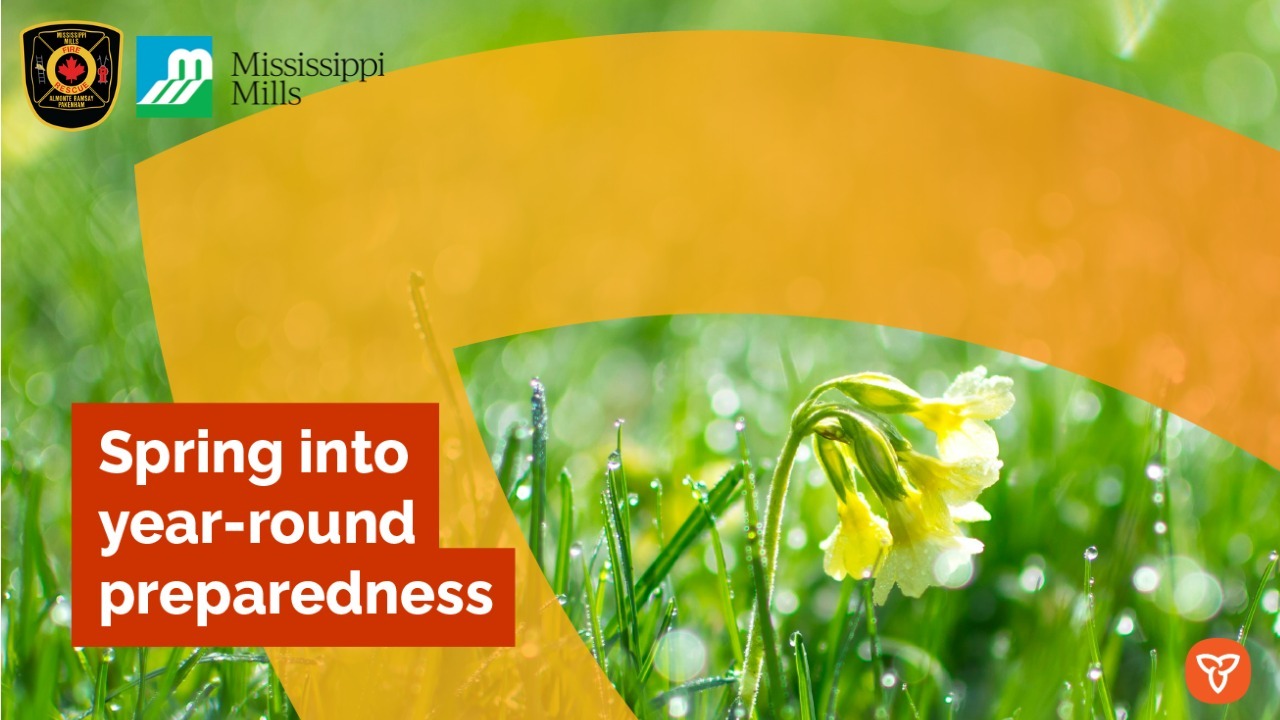 Graphic with photo of bright green grass with the sun shining down on it