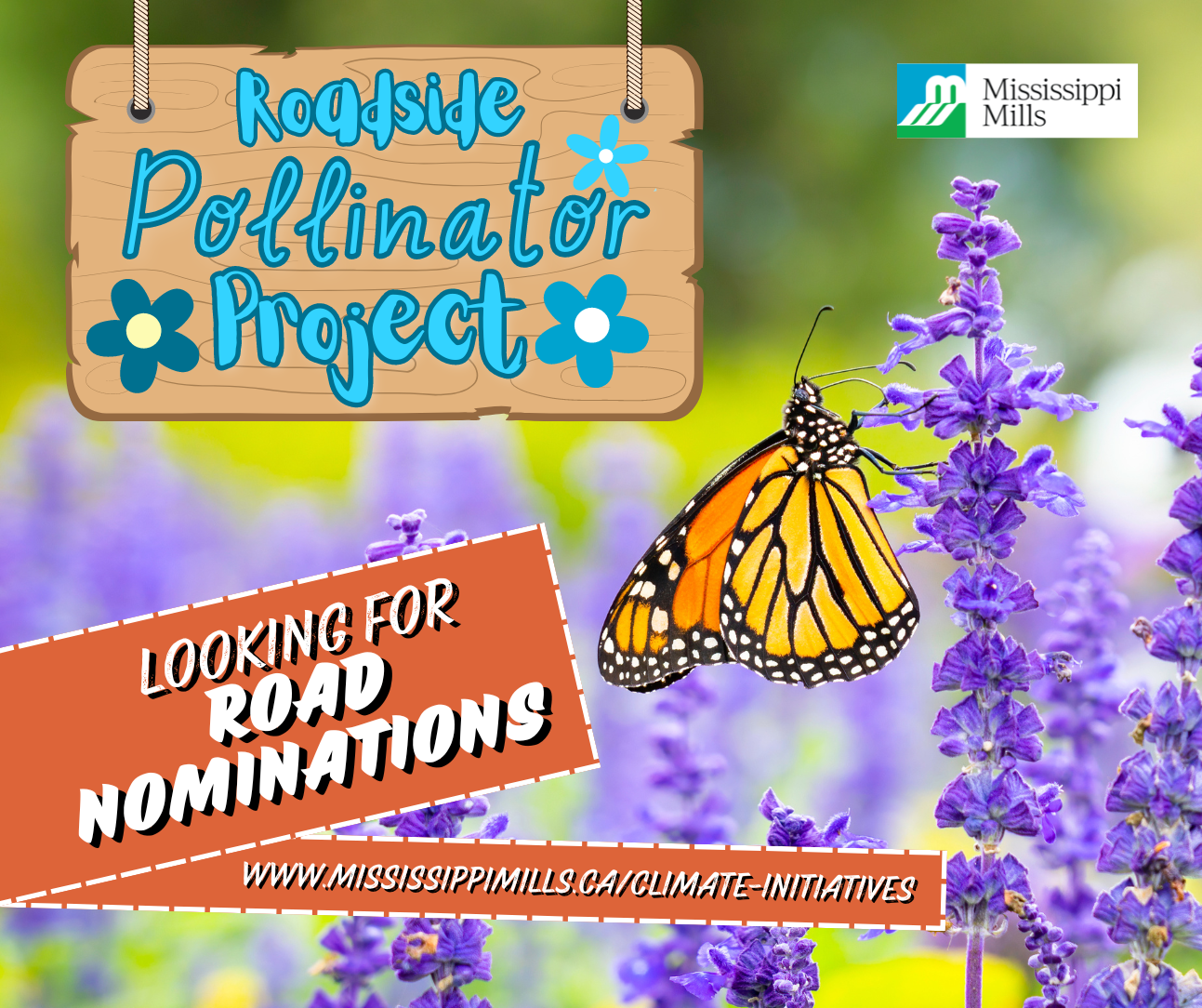 Photo of Monarch butterfly on a purple flower with the text 'Roadside Pollinator Project'