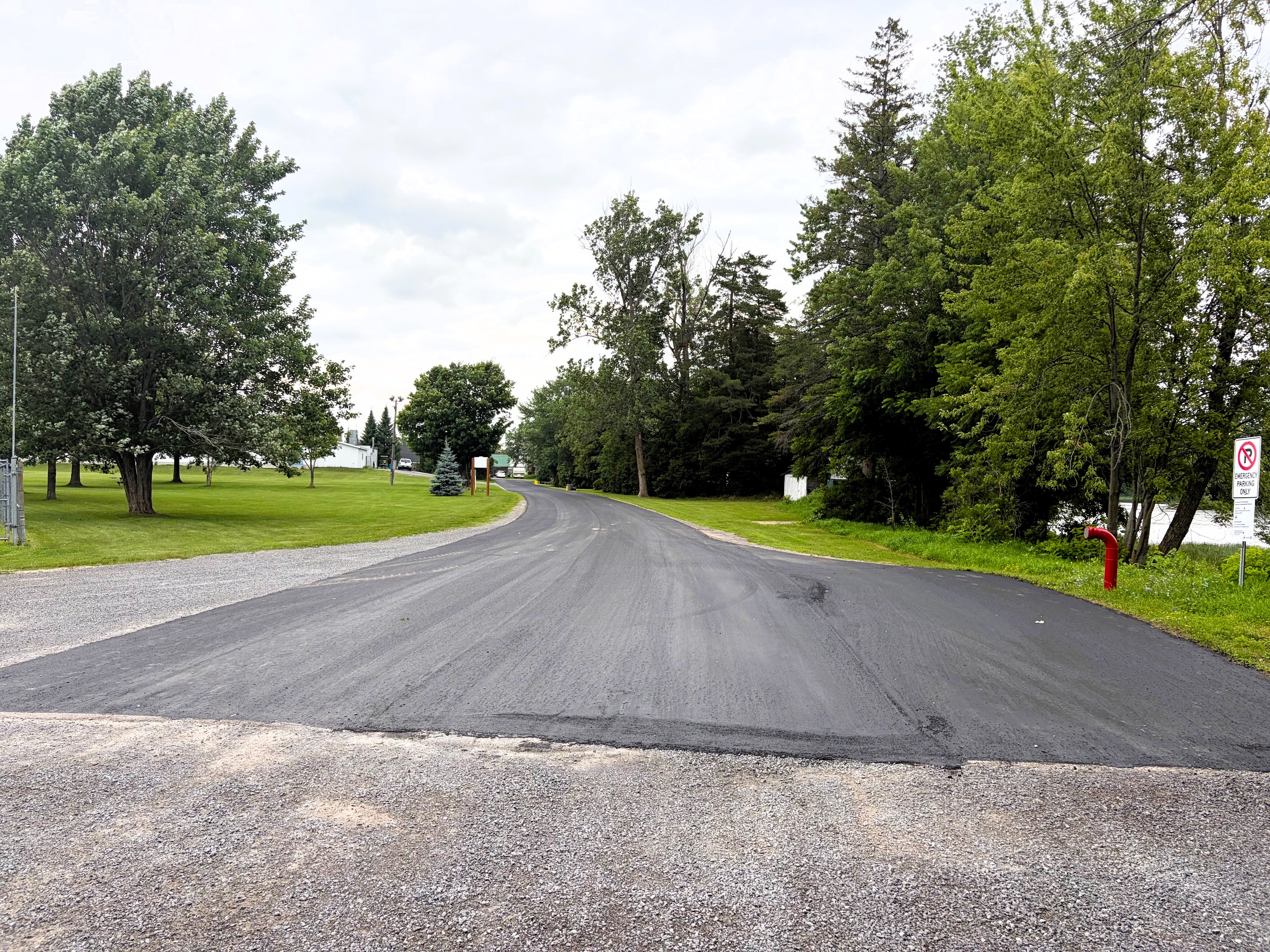 A freshly paved section of road in a village. Tall trees line both sides of the road.