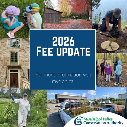 Graphic advertising MVCA 2026 fee updates