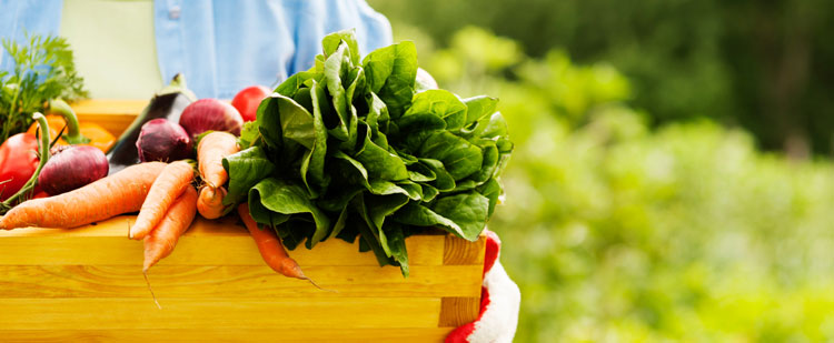 Photo of person holding a wooden box filled with produce, including carrots, spinach