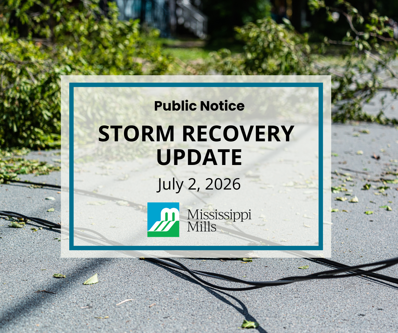 Green, leafy tree branches lie across a road with downed power lines. A white box with blue border contains black text reading 'Public Notice - Storm Recovery Update - July 2, 2026.'