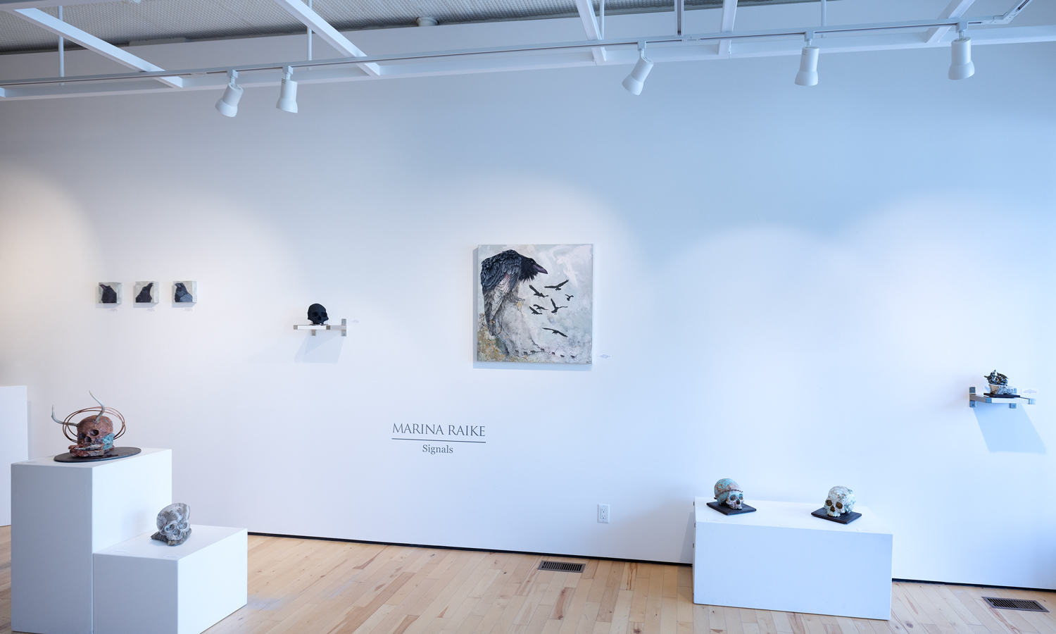 Photo of artwork in gallery on white walls and stands