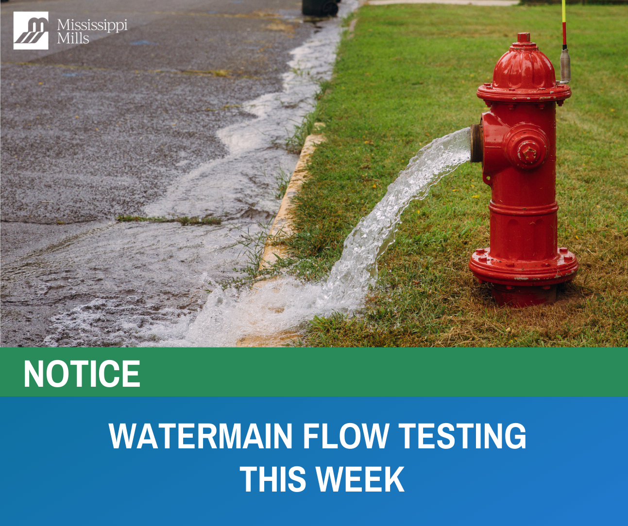 Photo of a red fire hydrant spraying water onto green grass and a street with the text 'Watermain Flow Testing This Week'