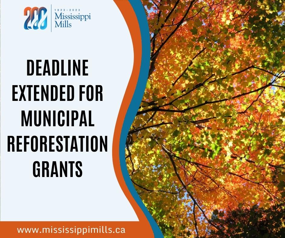 Reforestation grant deadline graphic