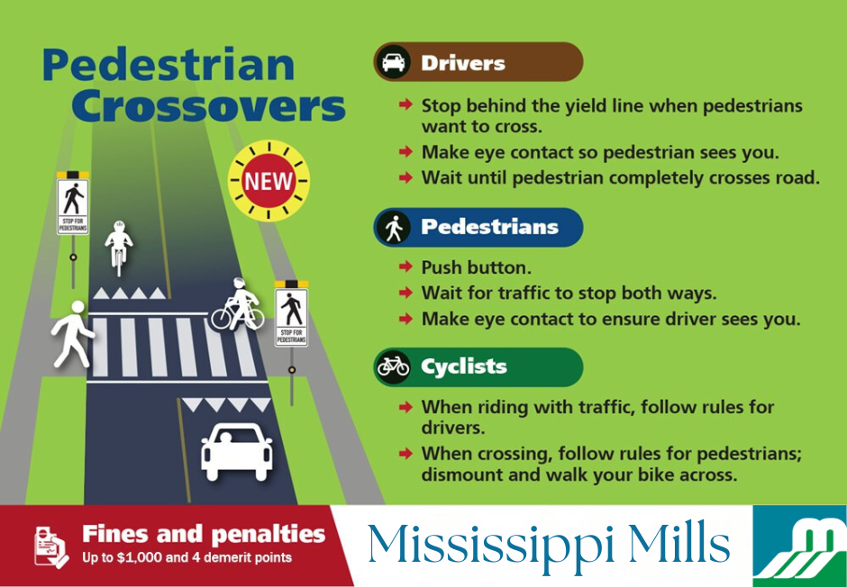Pedestrian crossover infographic