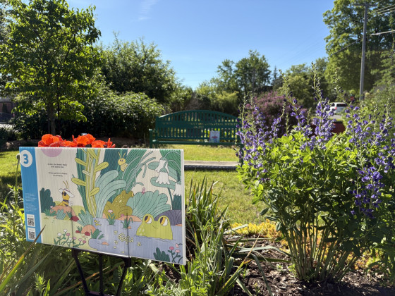 A garden with perennial flowers with a colourful lawn sign