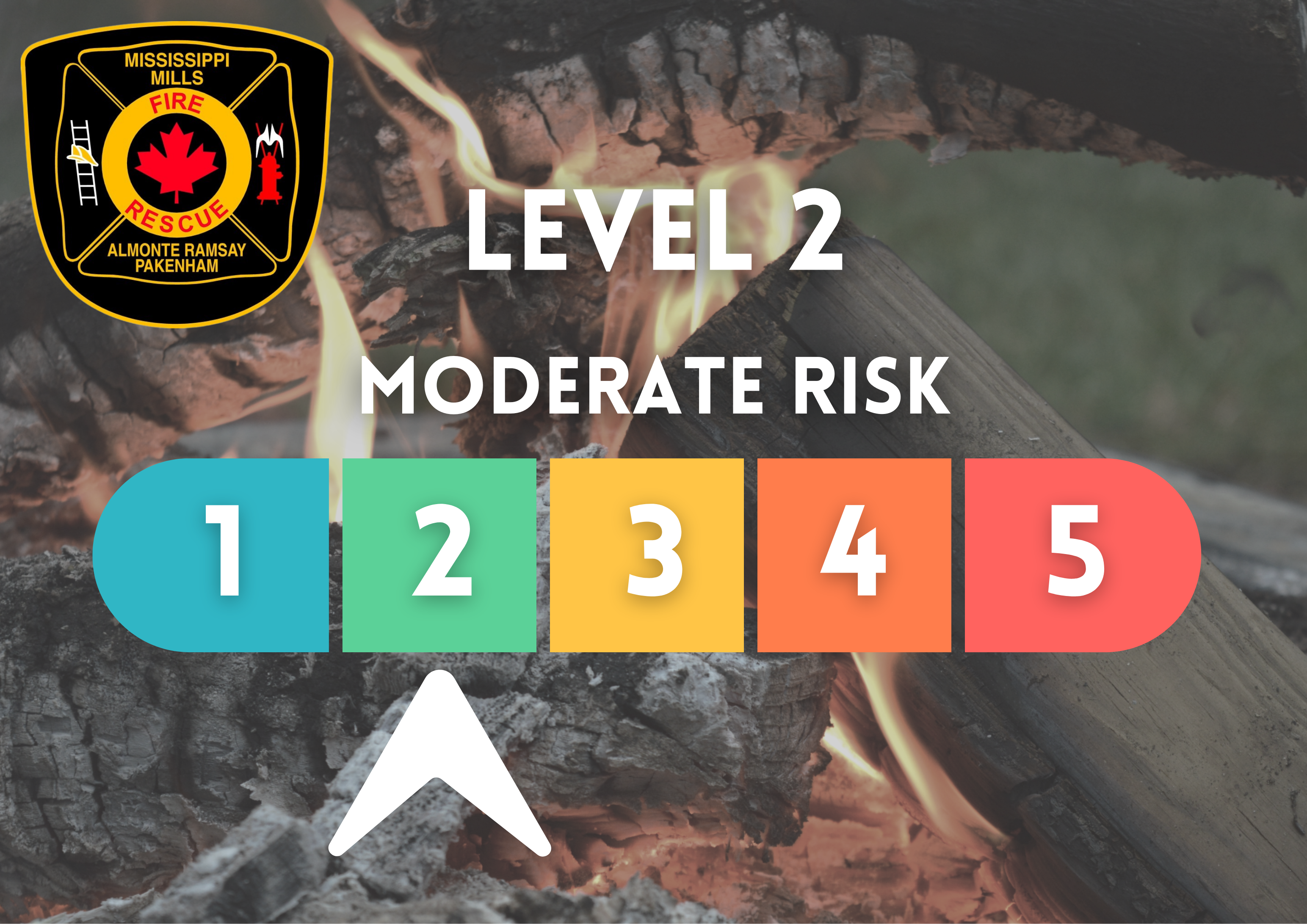 Graphic showing burn levels with an arrow pointing at Level 2 - Moderate Risk