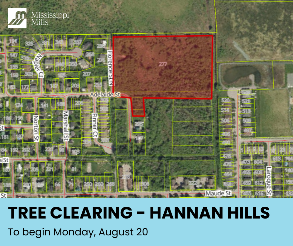 Map outlining the Hannan Hills tree clearing area in red