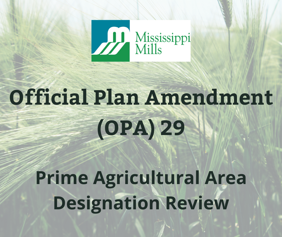 OPA 29
