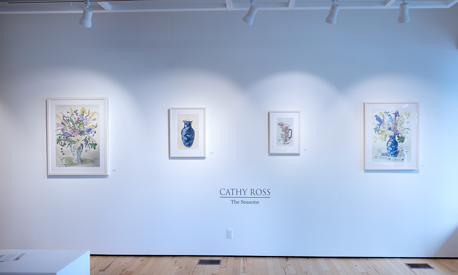 Framed floral art arranged on a white gallery wall with spotlights shining on the frames.