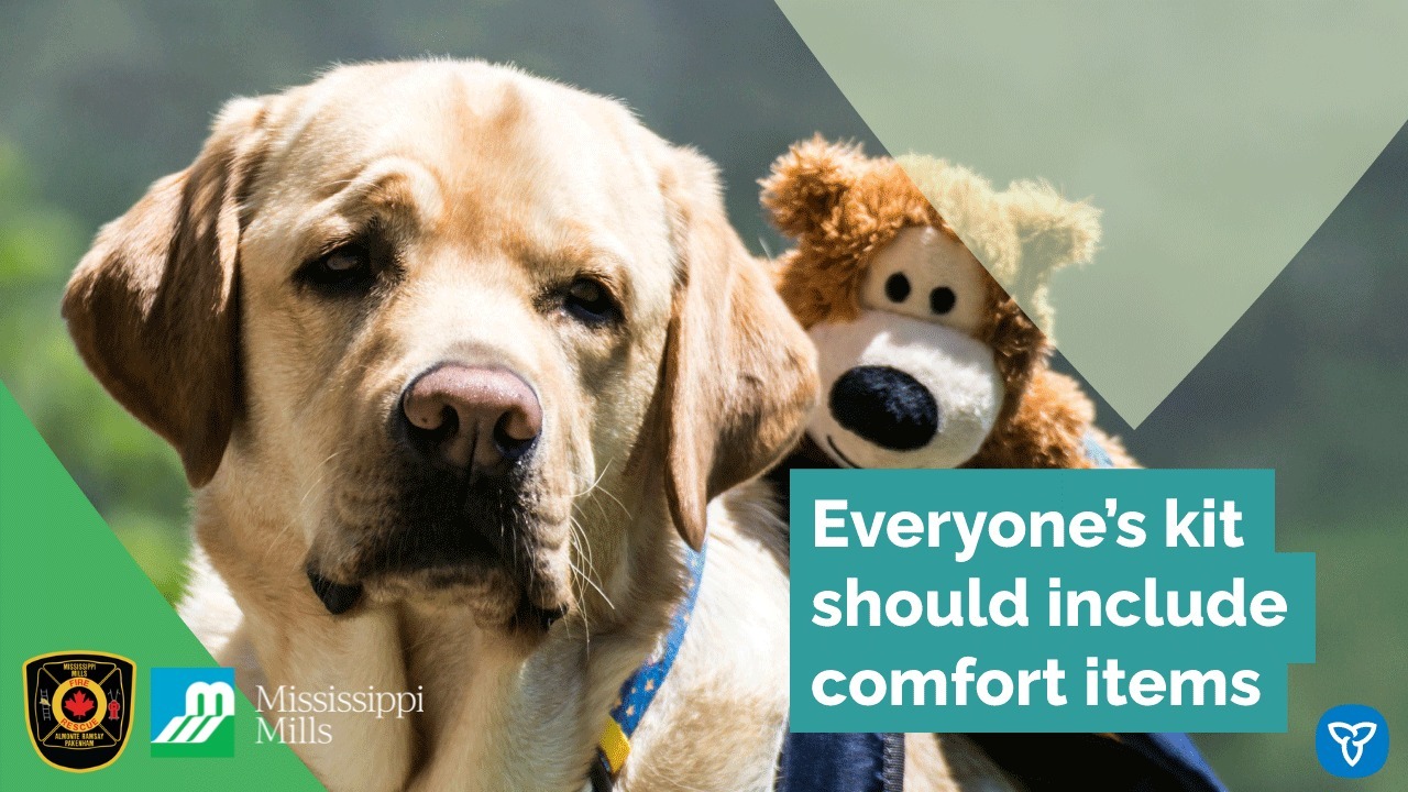 Graphic with photo of Golden Retriever and stuffed toy