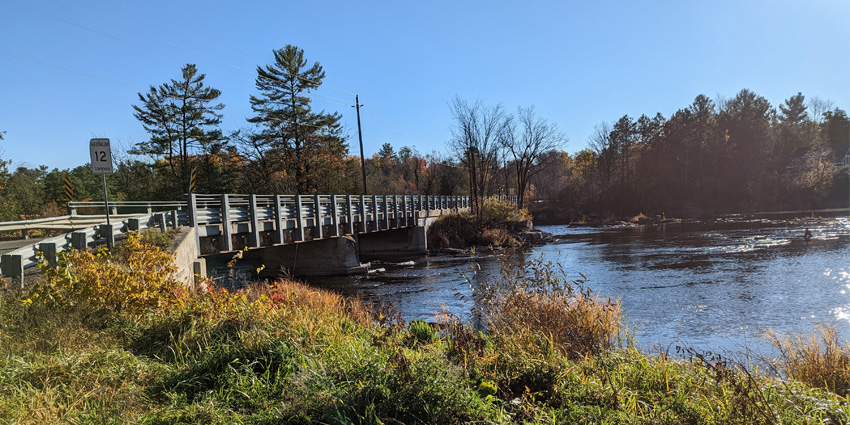 Photo of curved steel bridge surrounded by foliage and water
