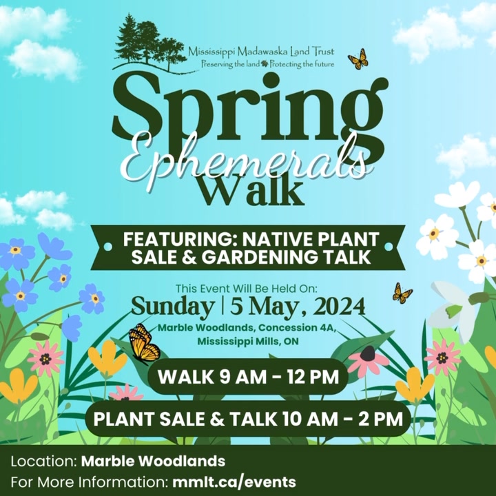 Blue and green poster advertising Spring Ephemerals Walk