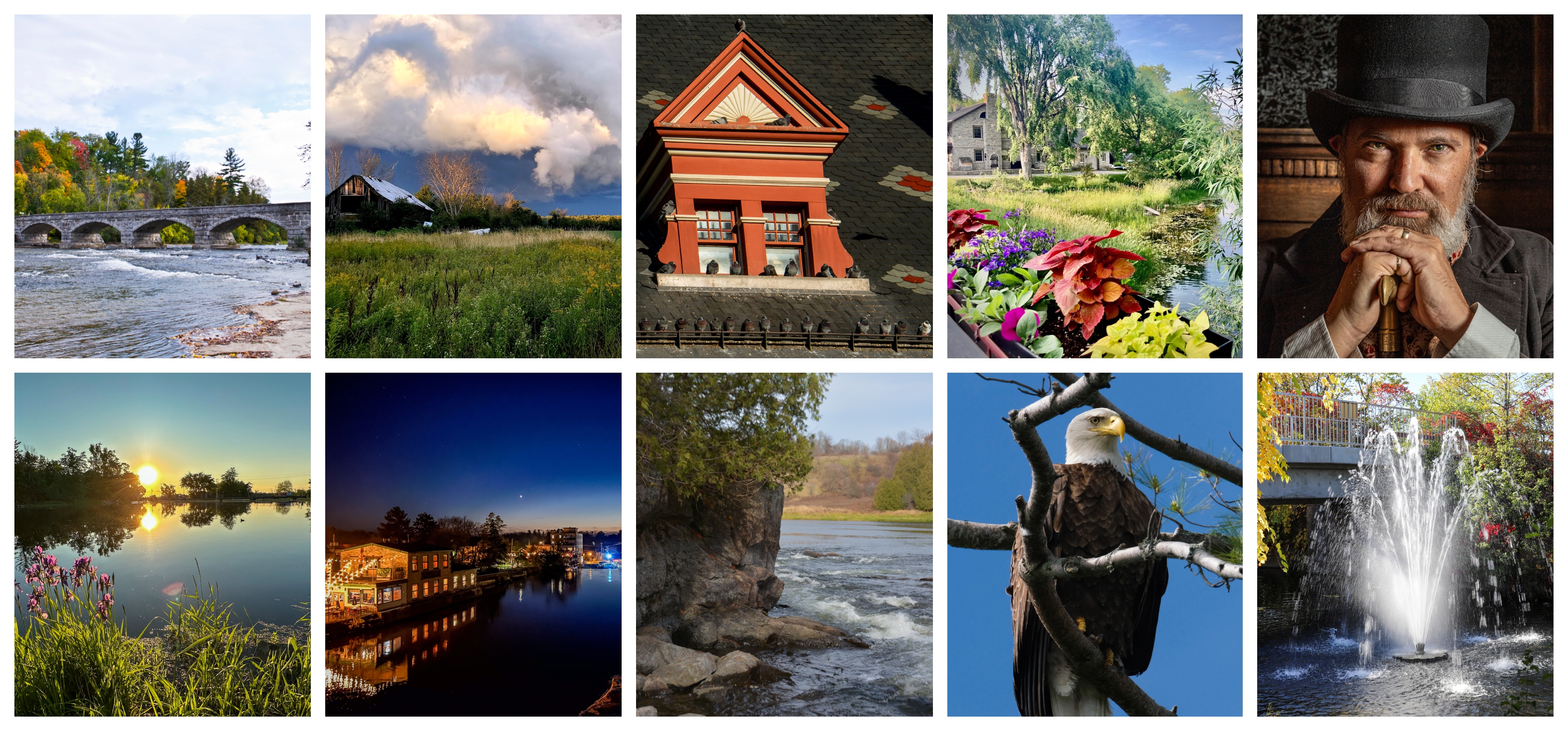 Collage of 10 photos ranging from wildlife to landscapes