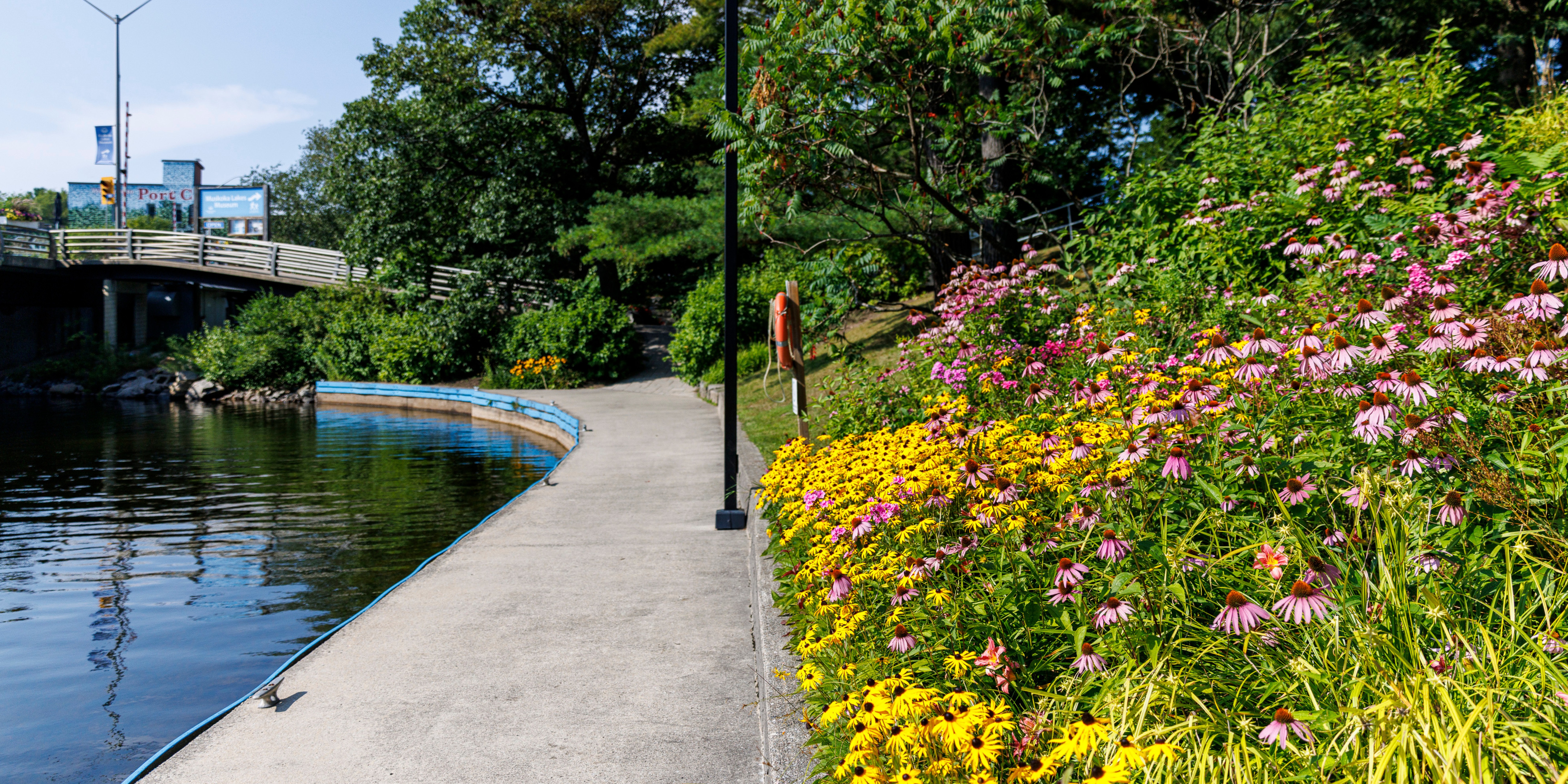 Bed of flowers next to a concrete walkways that wraps around a lake