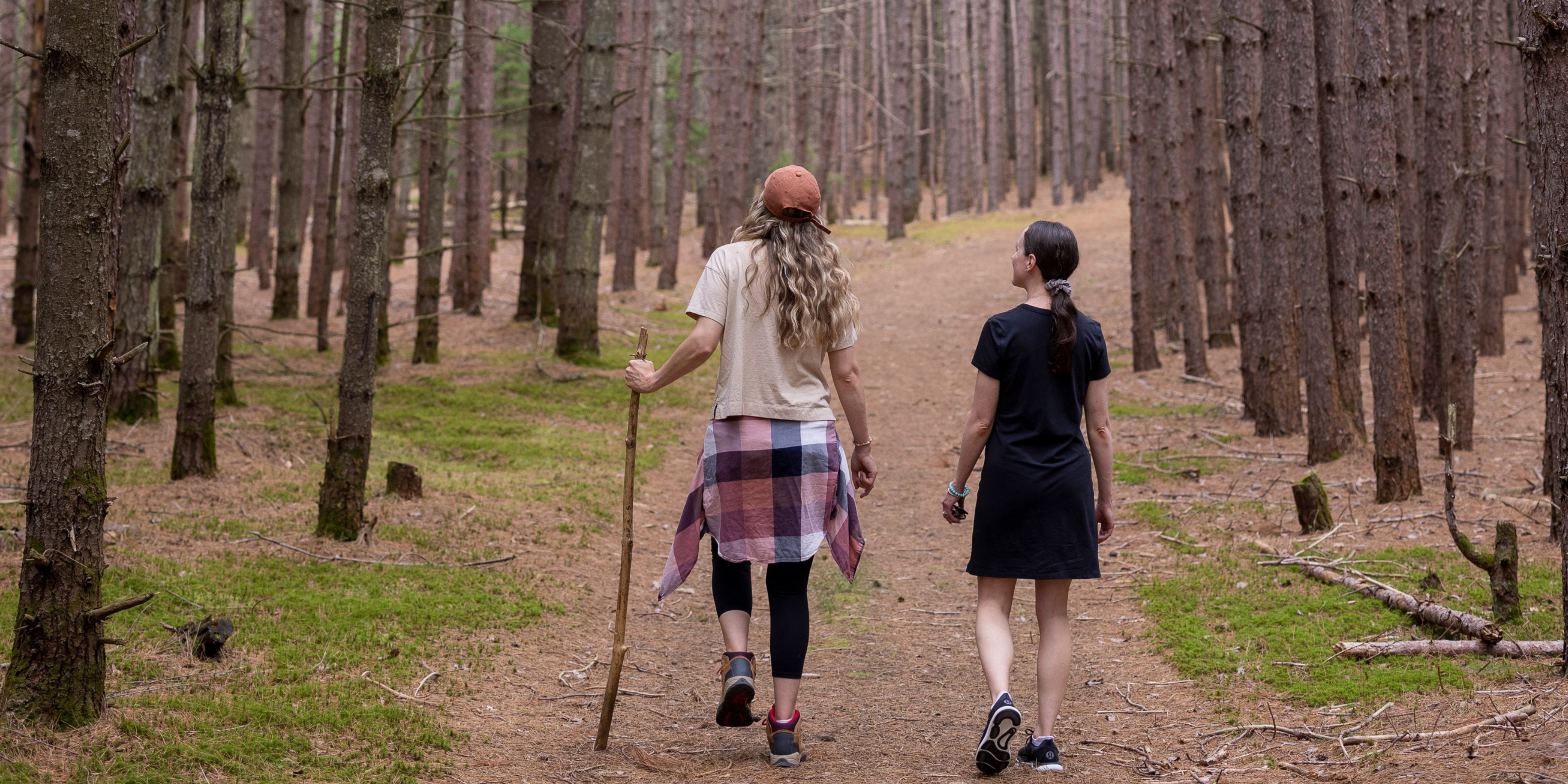 Two people hiking through a forest