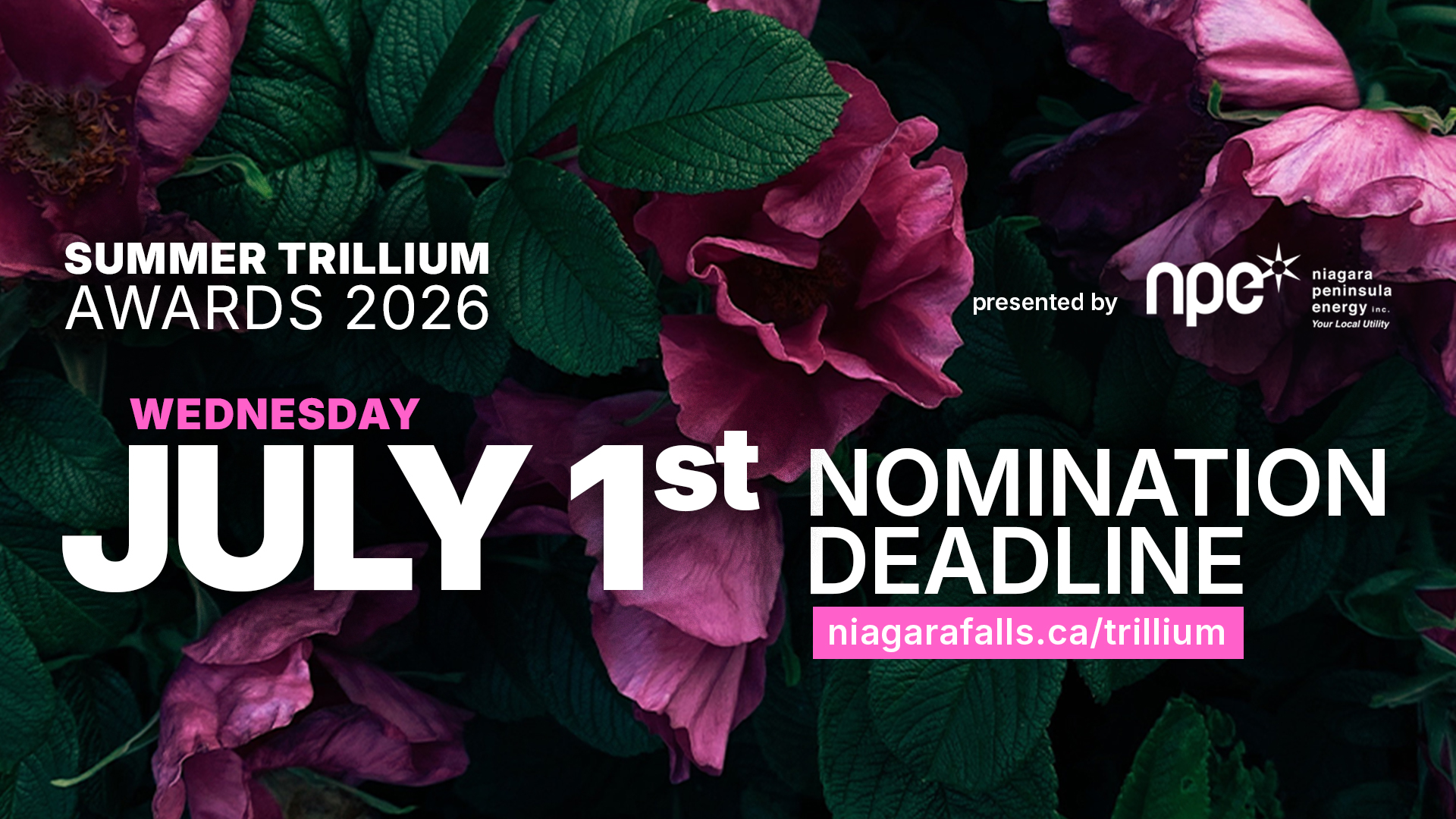 Summer Trillium Awards Wednesday July 1st Nomination Deadline. With purple flowers on green foliage in the background.