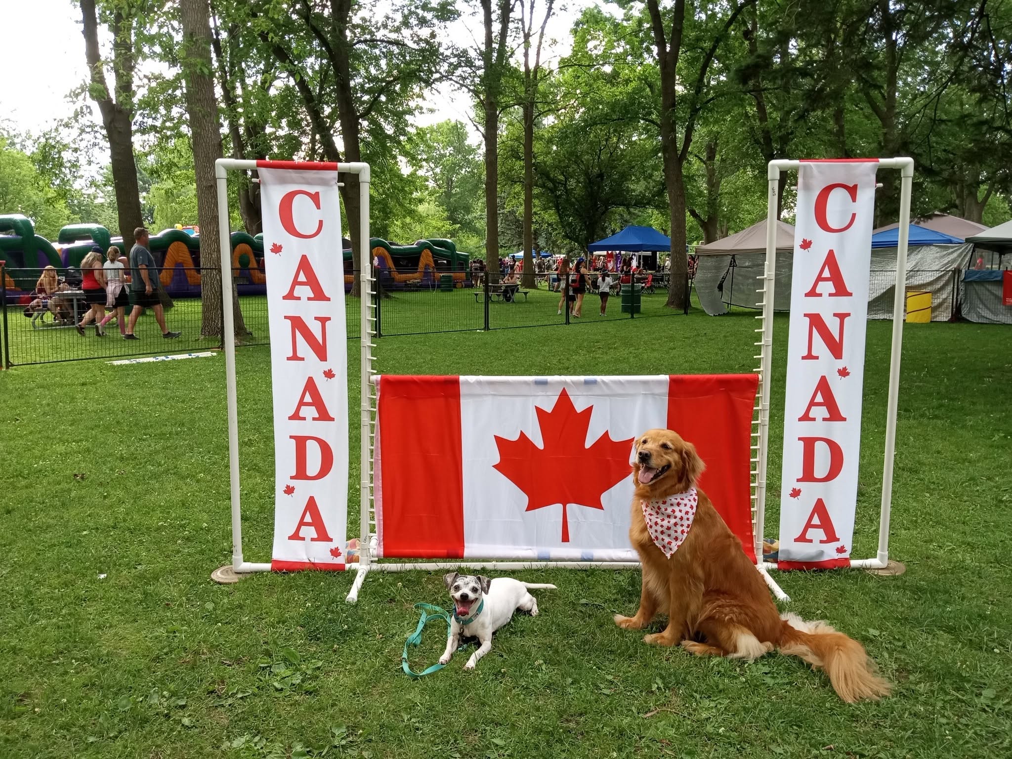 two dogs laying in front of Canada-themed obstacle