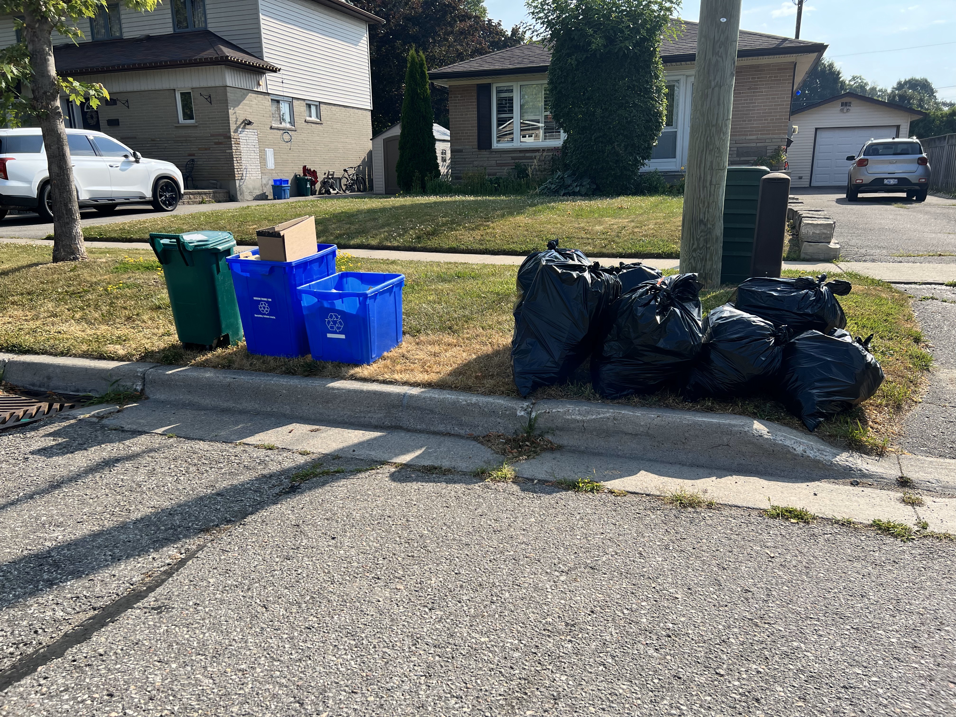 Garbage bags and recycling at curb