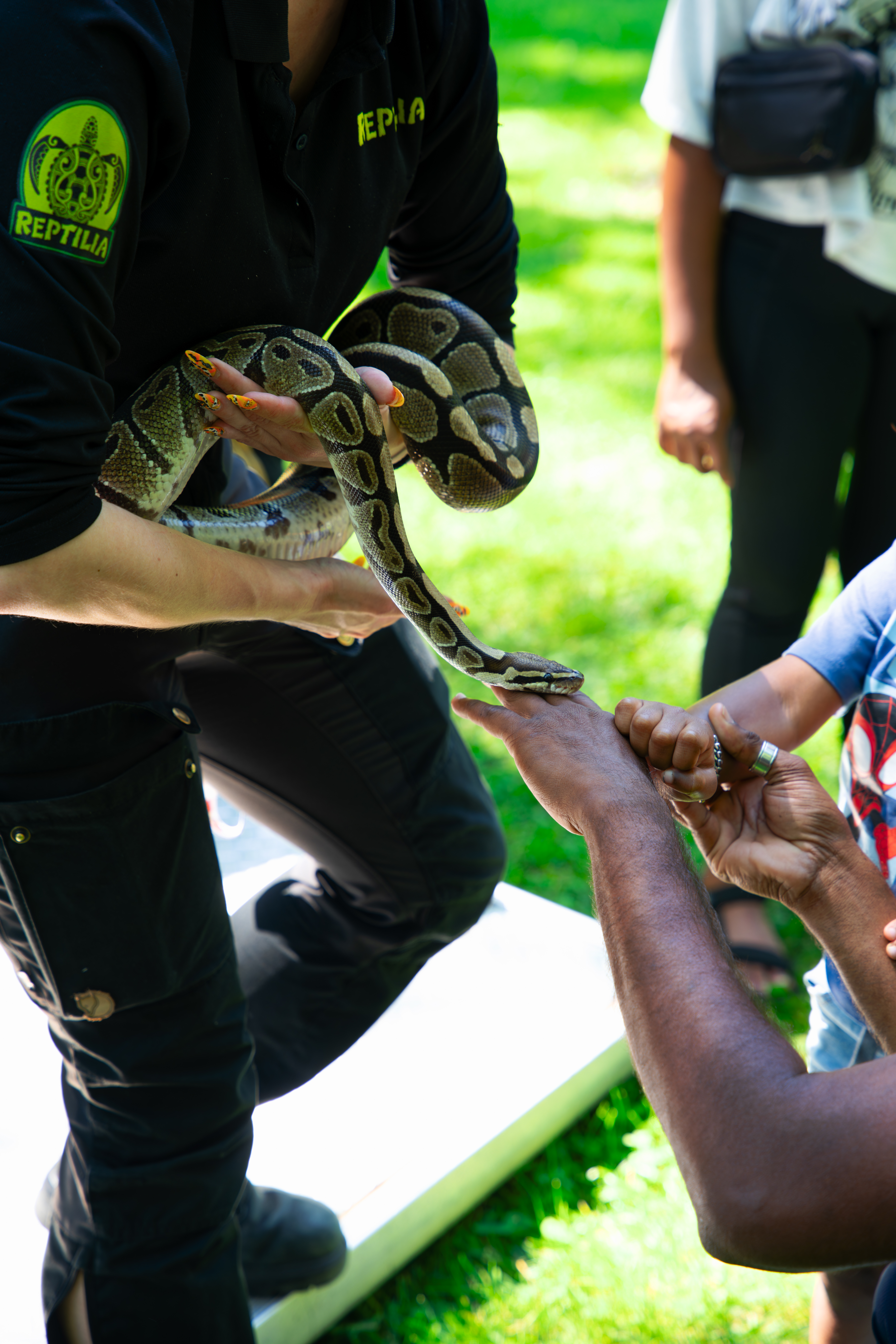 person holding snake for child to touch