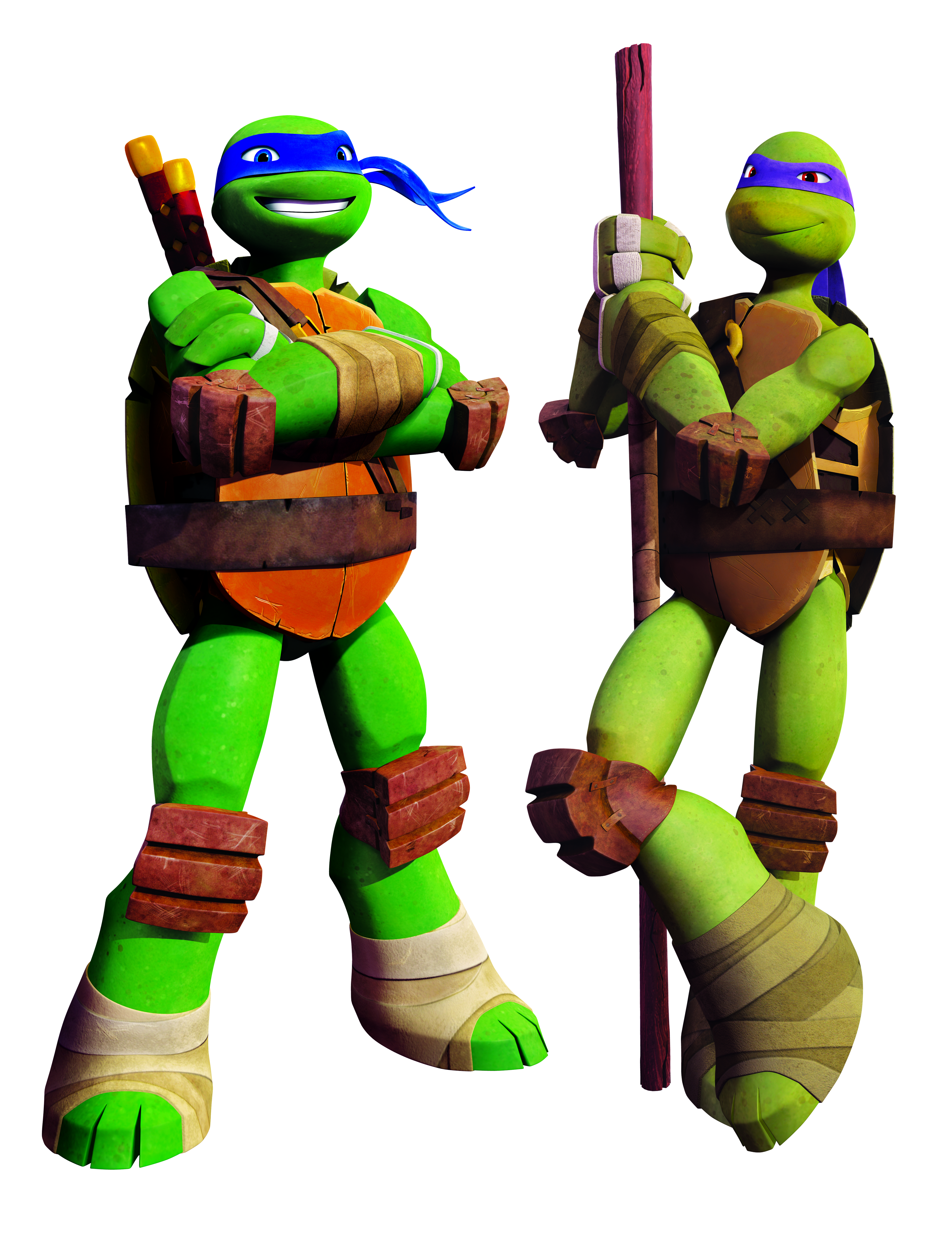 Leonardo and Donatello of TMNT