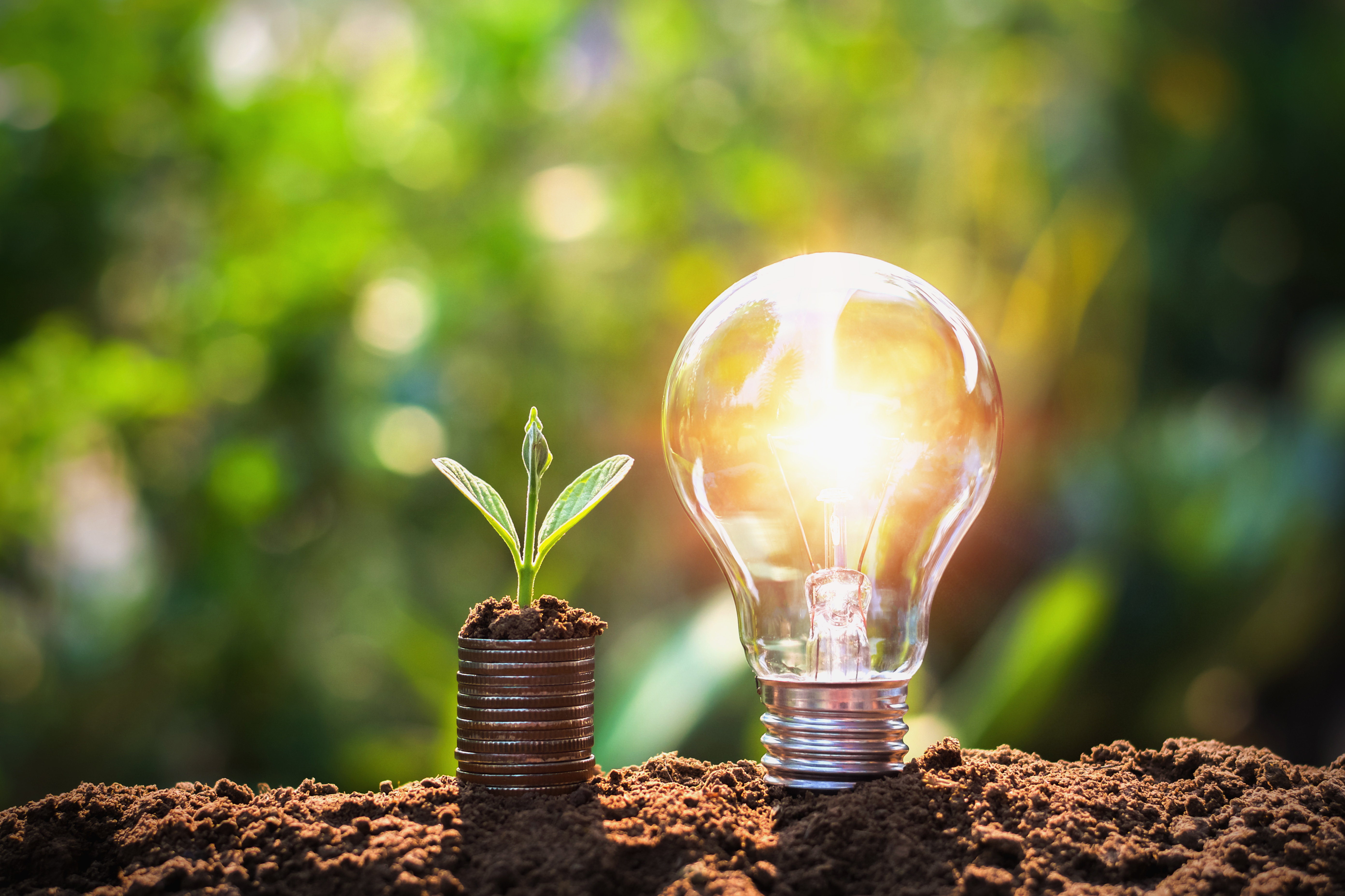 light bulb in the earth with leaves surrounding