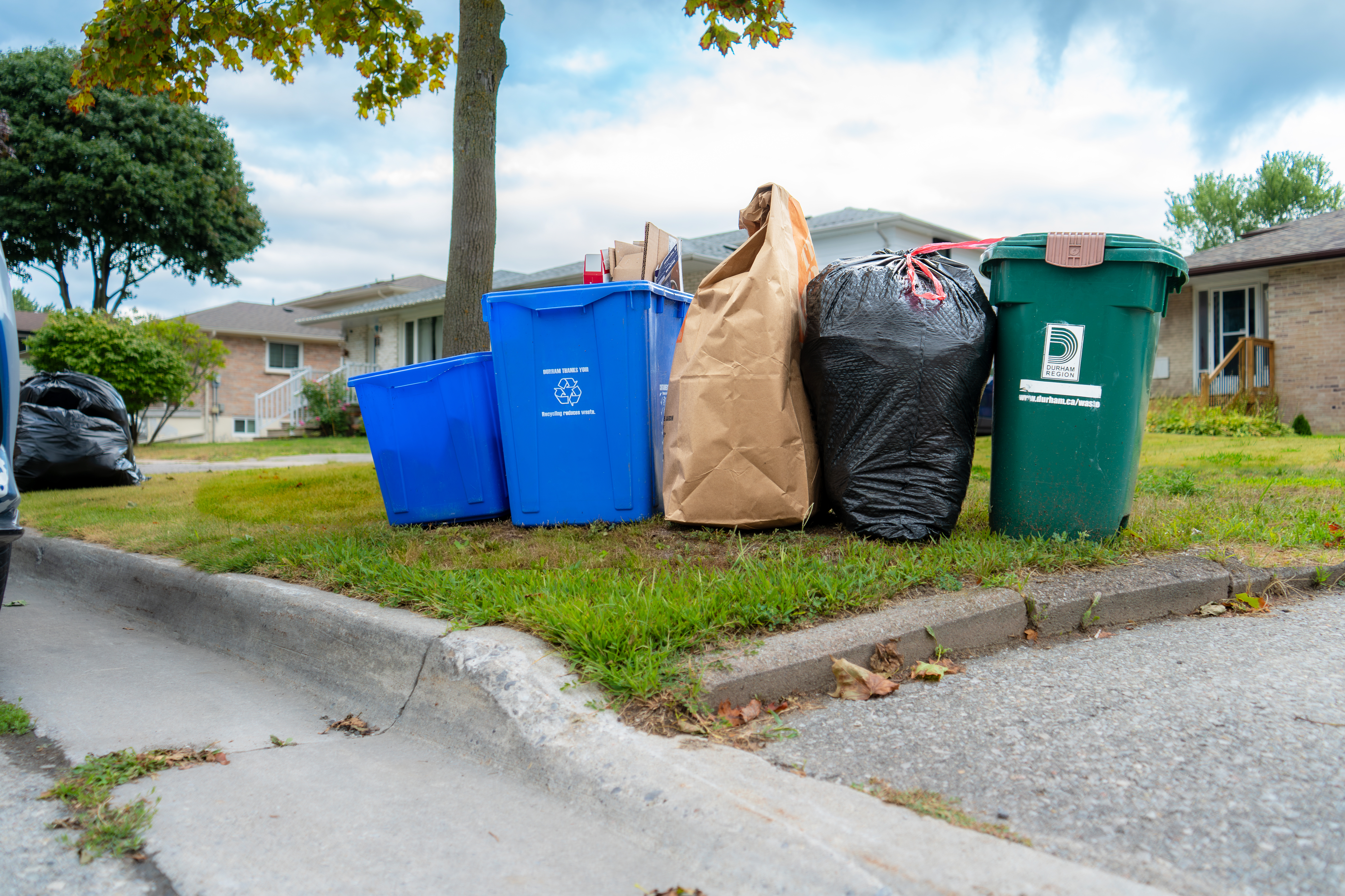 Waste At Curb 