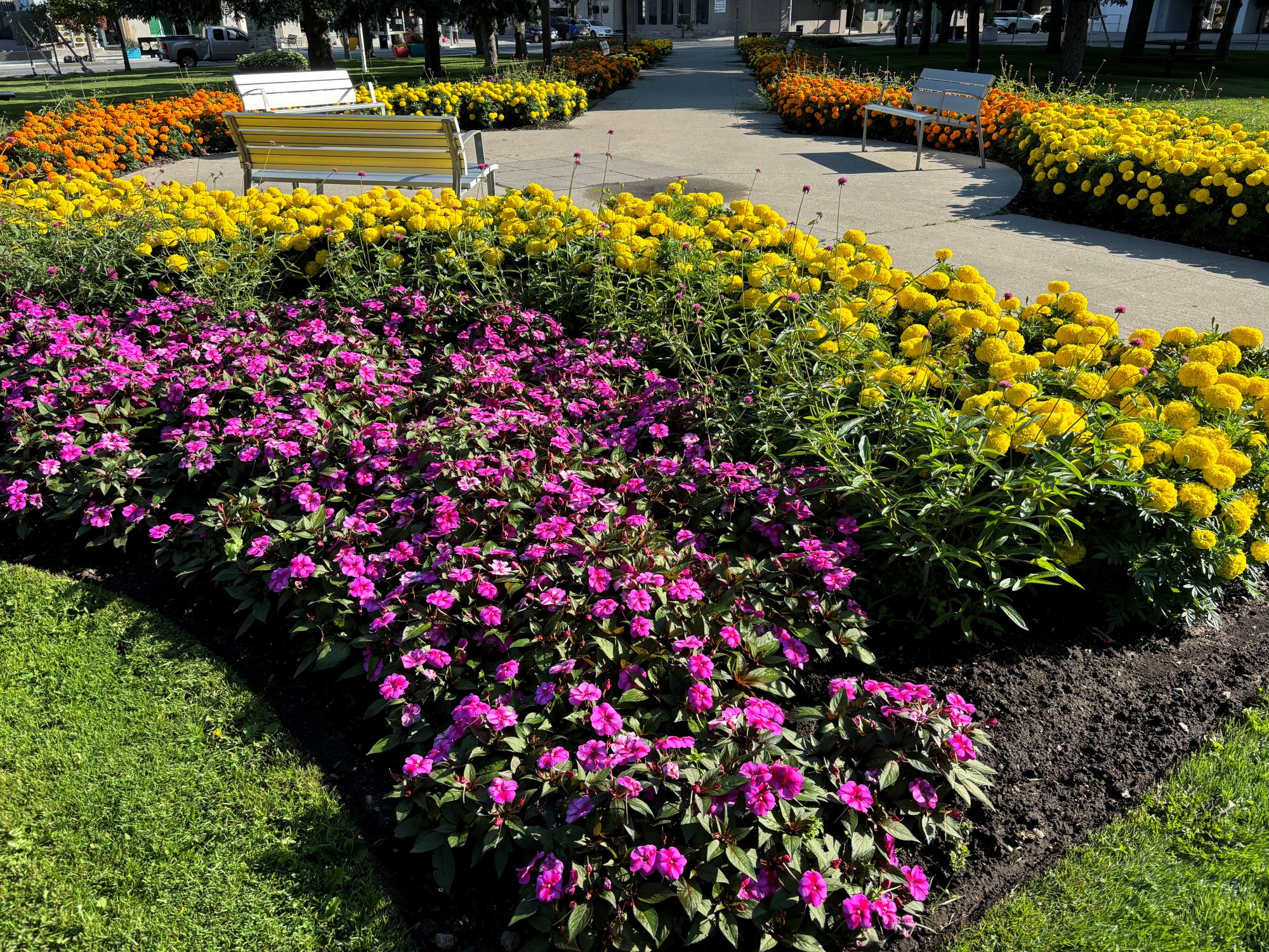 colourful garden