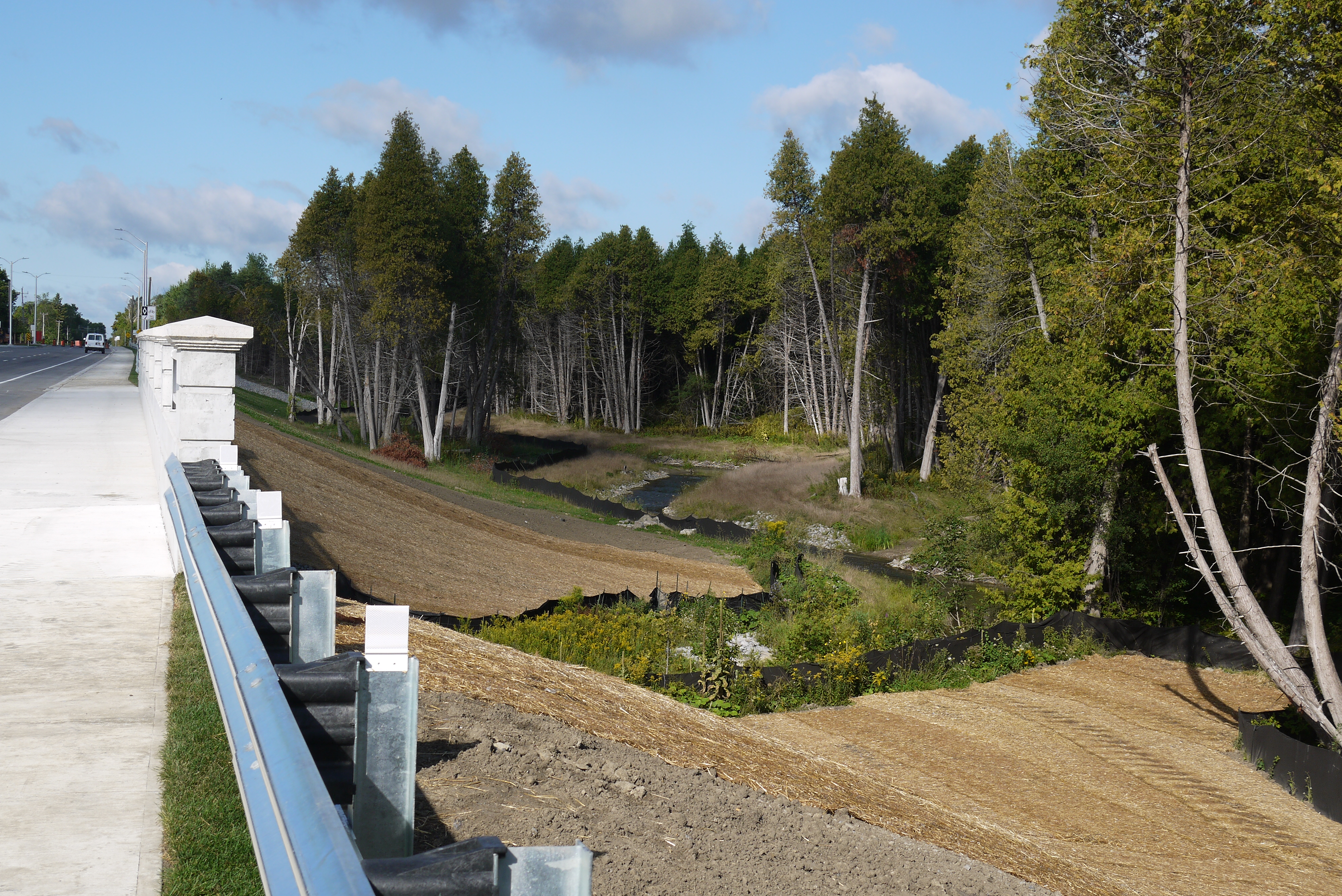 Conlin Bridge Creek Realignment